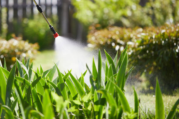 24/7 Emergency Cockroach Control experts in Georgetown, GA