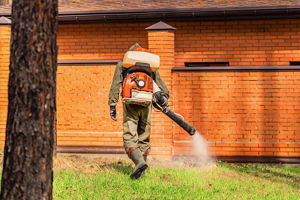 Trusted Cockroach Control service in Georgetown, GA - Nex Pest Control